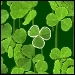 Lucky Clover